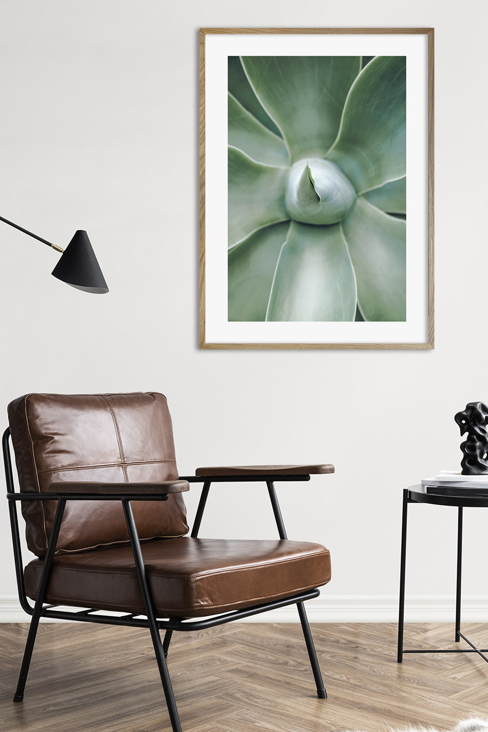 Постер Зеленый  Суккулент