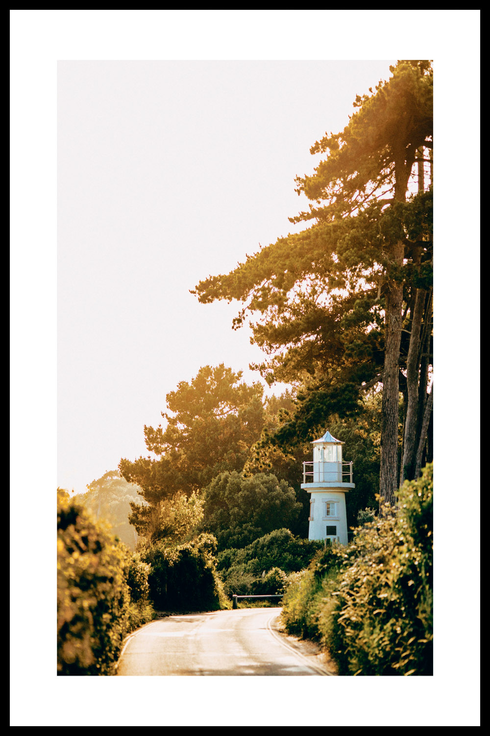 Постер Дорога В Осеннем Лесу