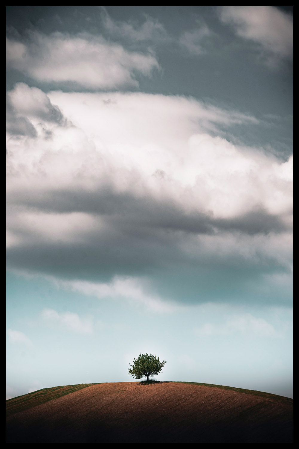 Постер Дерево На Холме