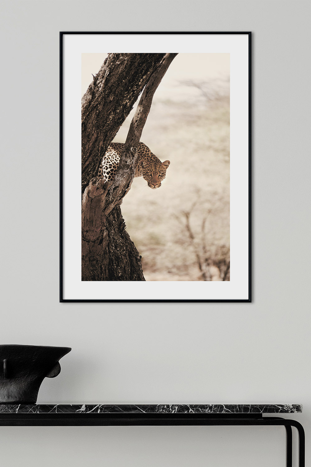 Постер Гепард #2