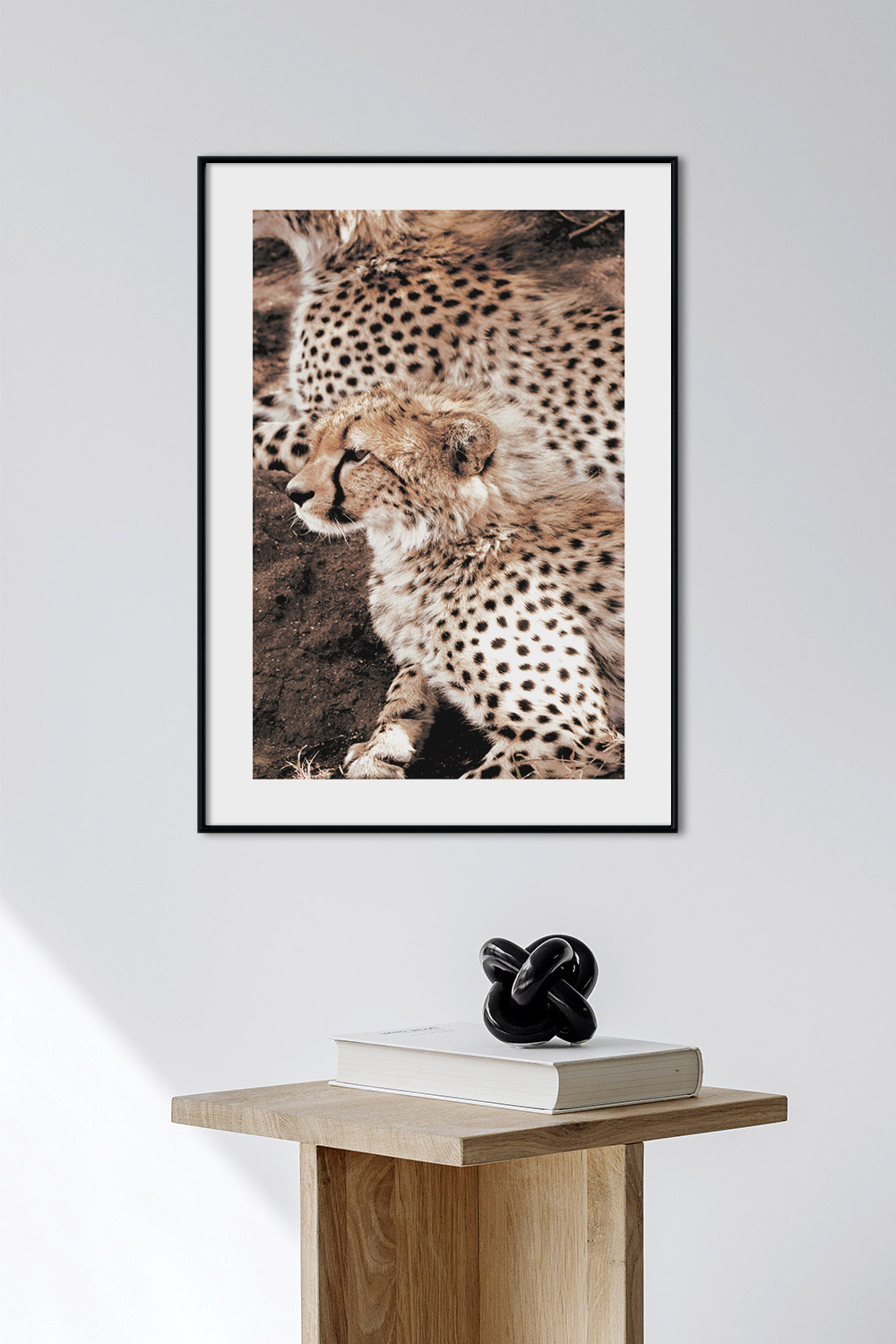 Постер Маленький Гепард