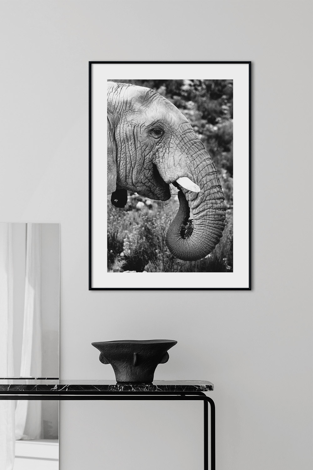 Постер Черно-Белый Слон