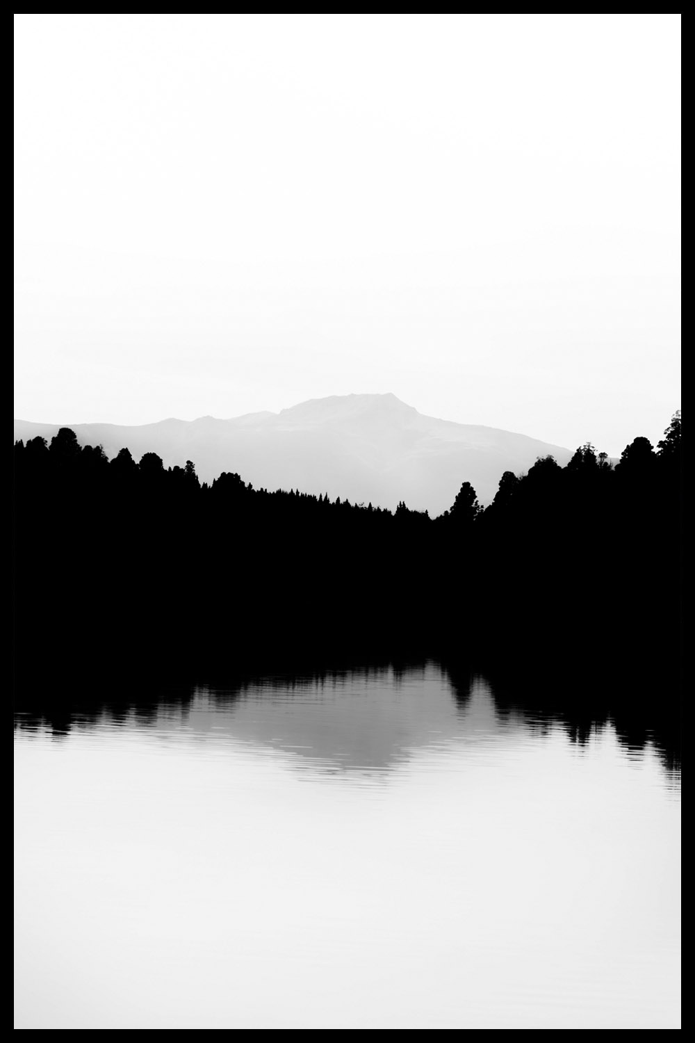 Постер Черно-Белое Отражение