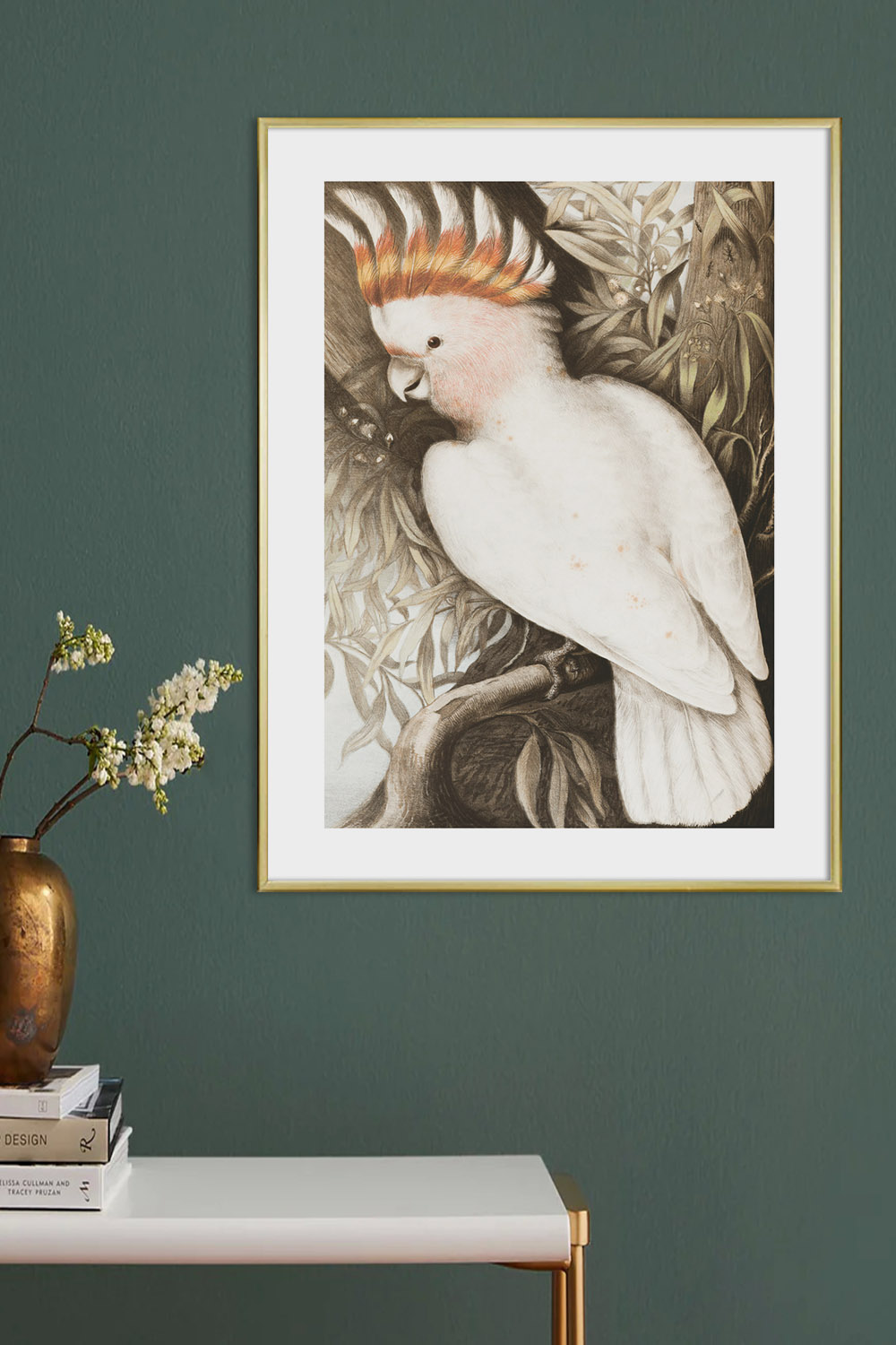 Постер Попугай