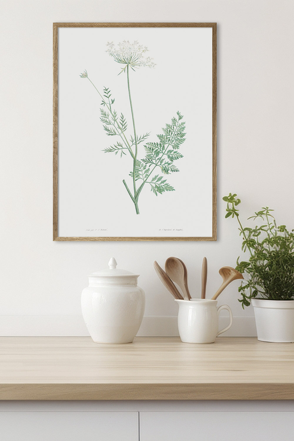 Постер Иллюстрация Растения #1