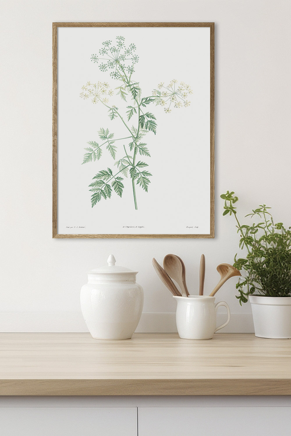 Постер Иллюстрация Растения #3