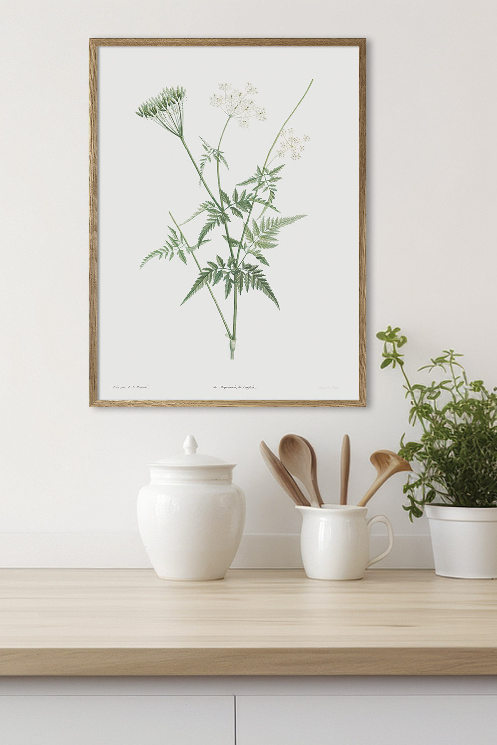 Постер Иллюстрация Растения #4