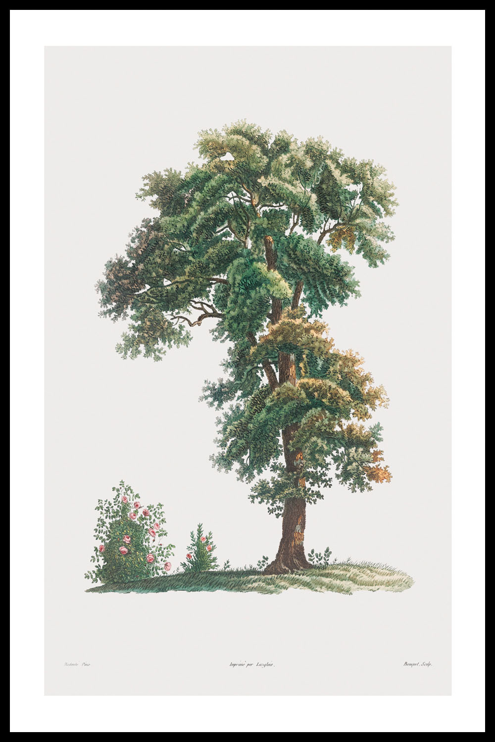 Постер Дерево