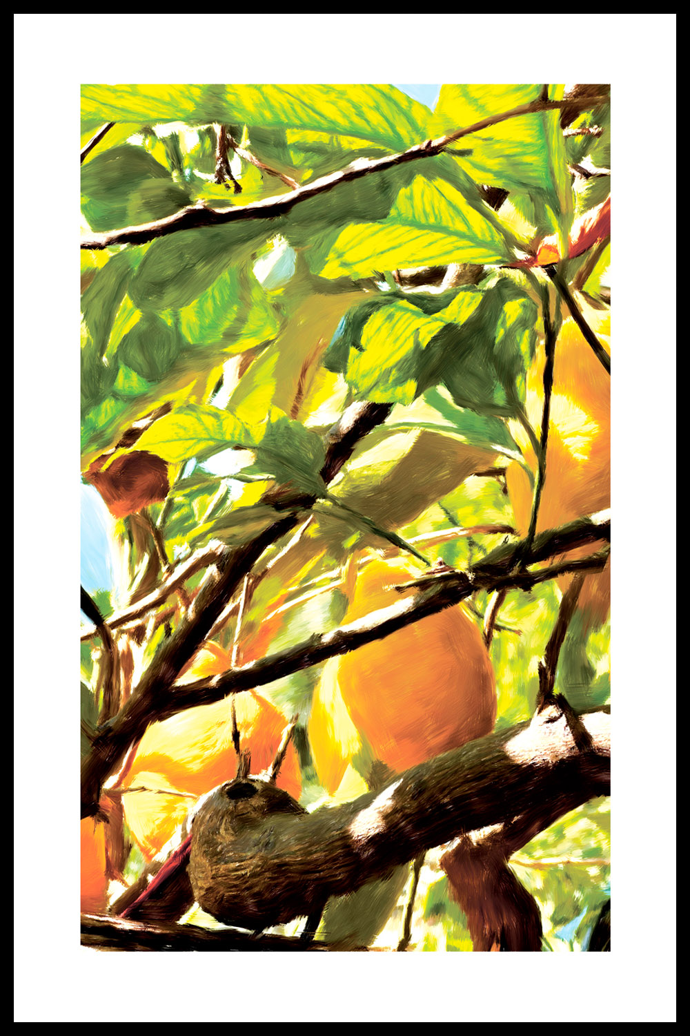 Постер Лимоны на Дереве