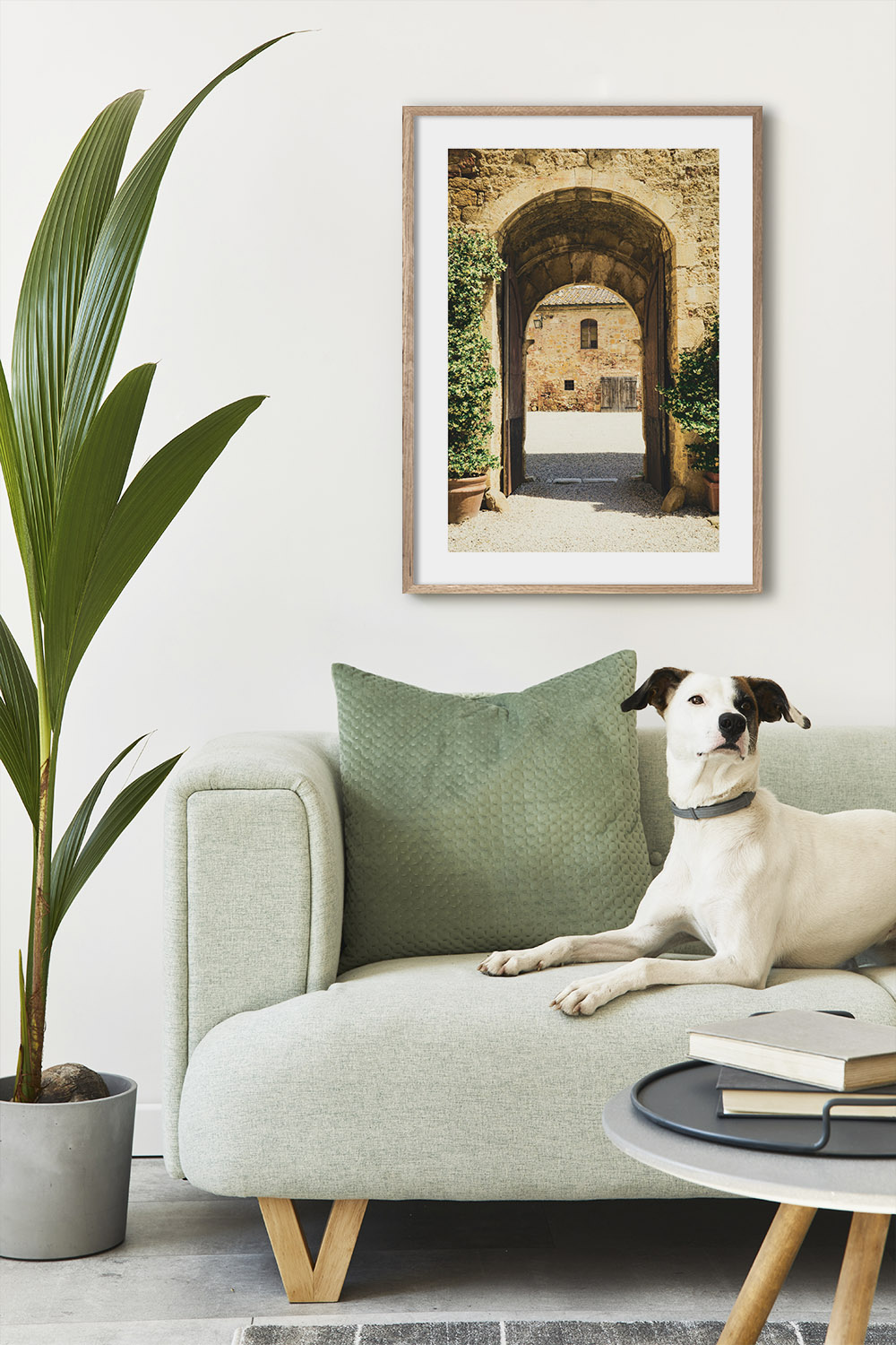 Постер Старая Арка