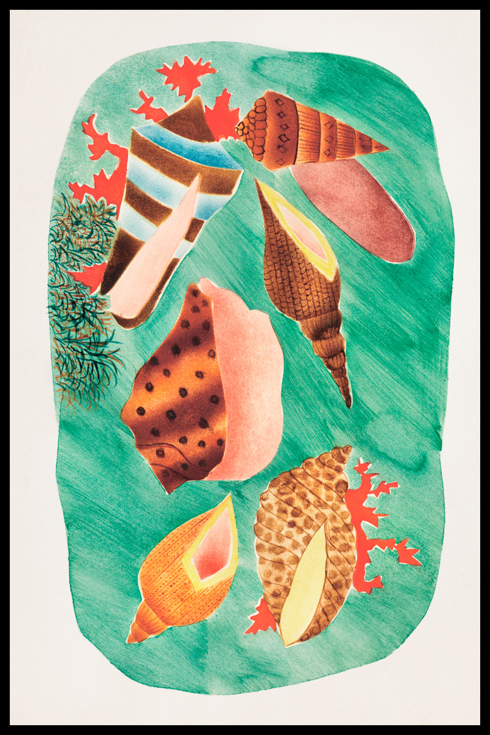 Постер Морские Раковины