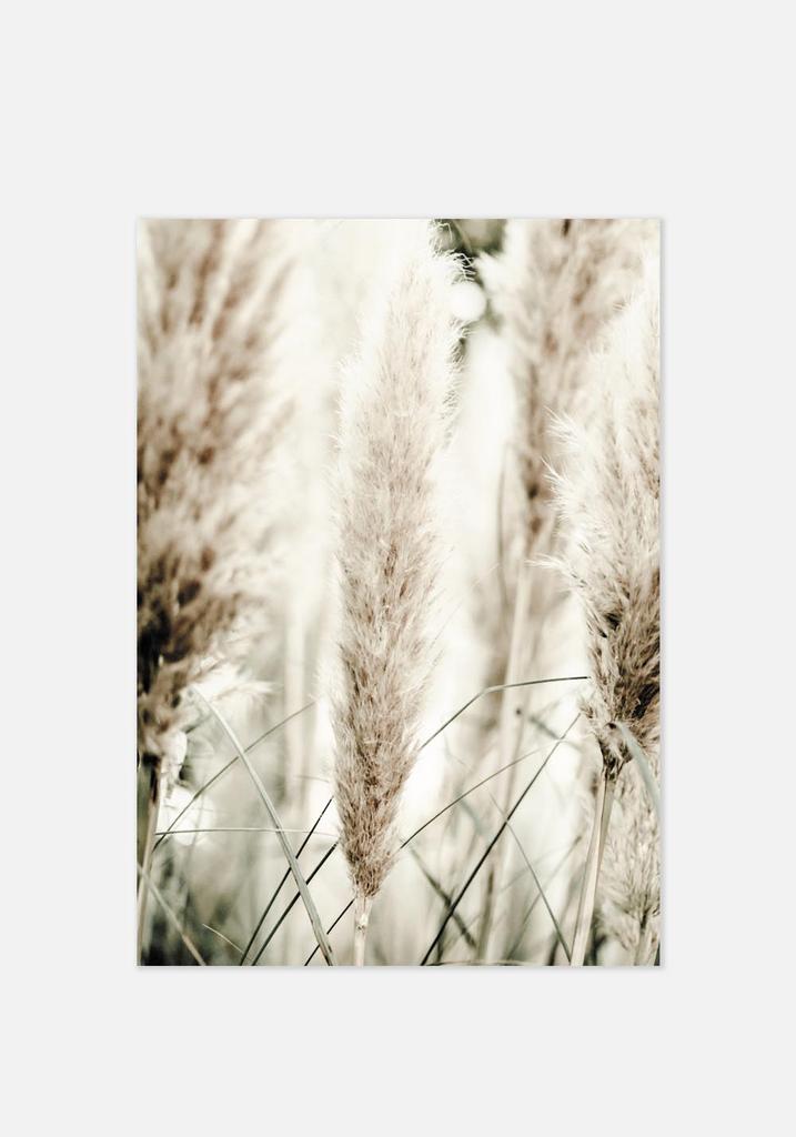 Постер №001 | 60х90 см