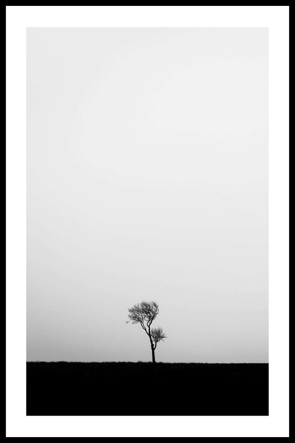 Постер Дерево и Горизонт