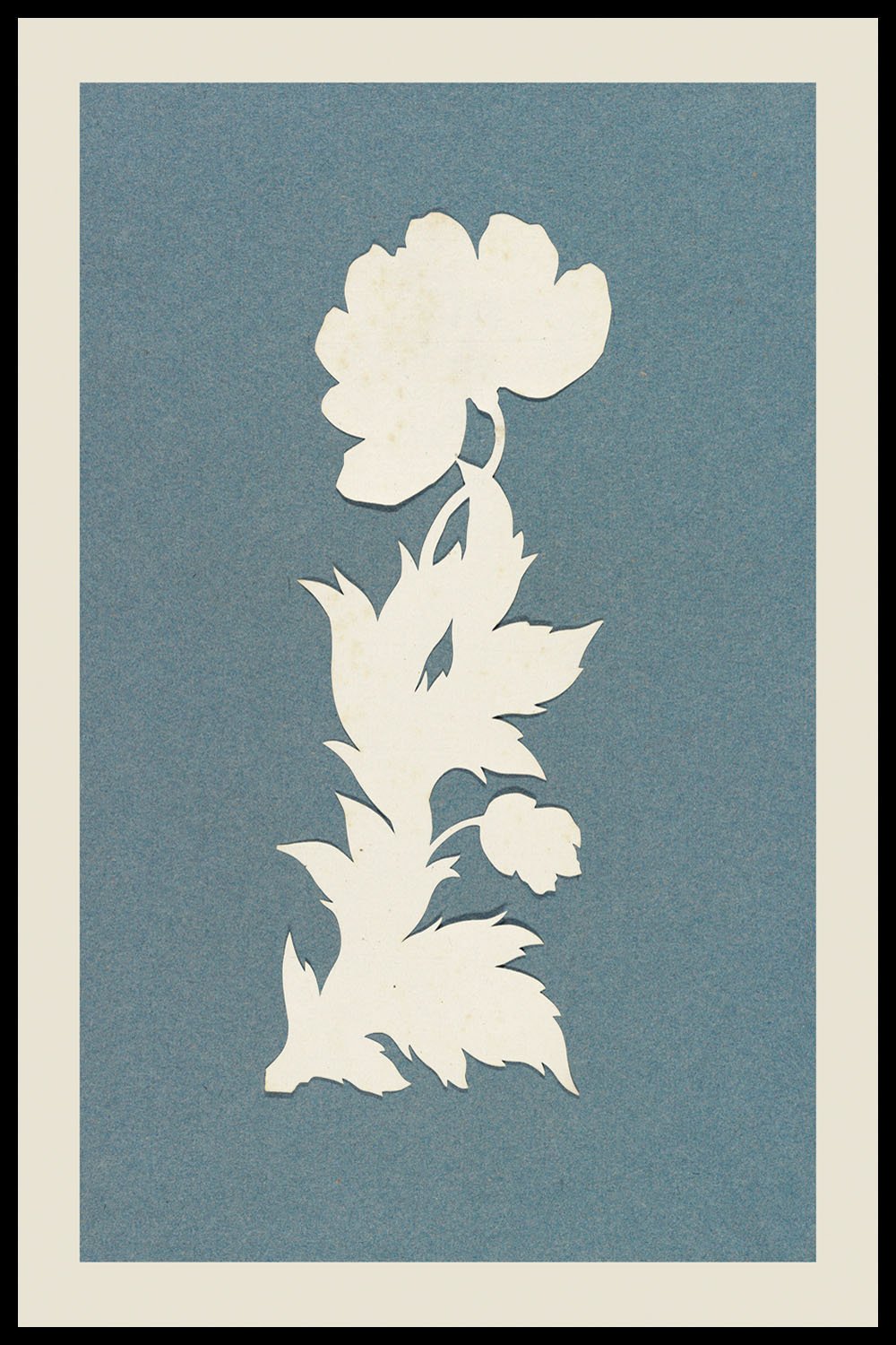 Постер Белый Цветок на Голубом