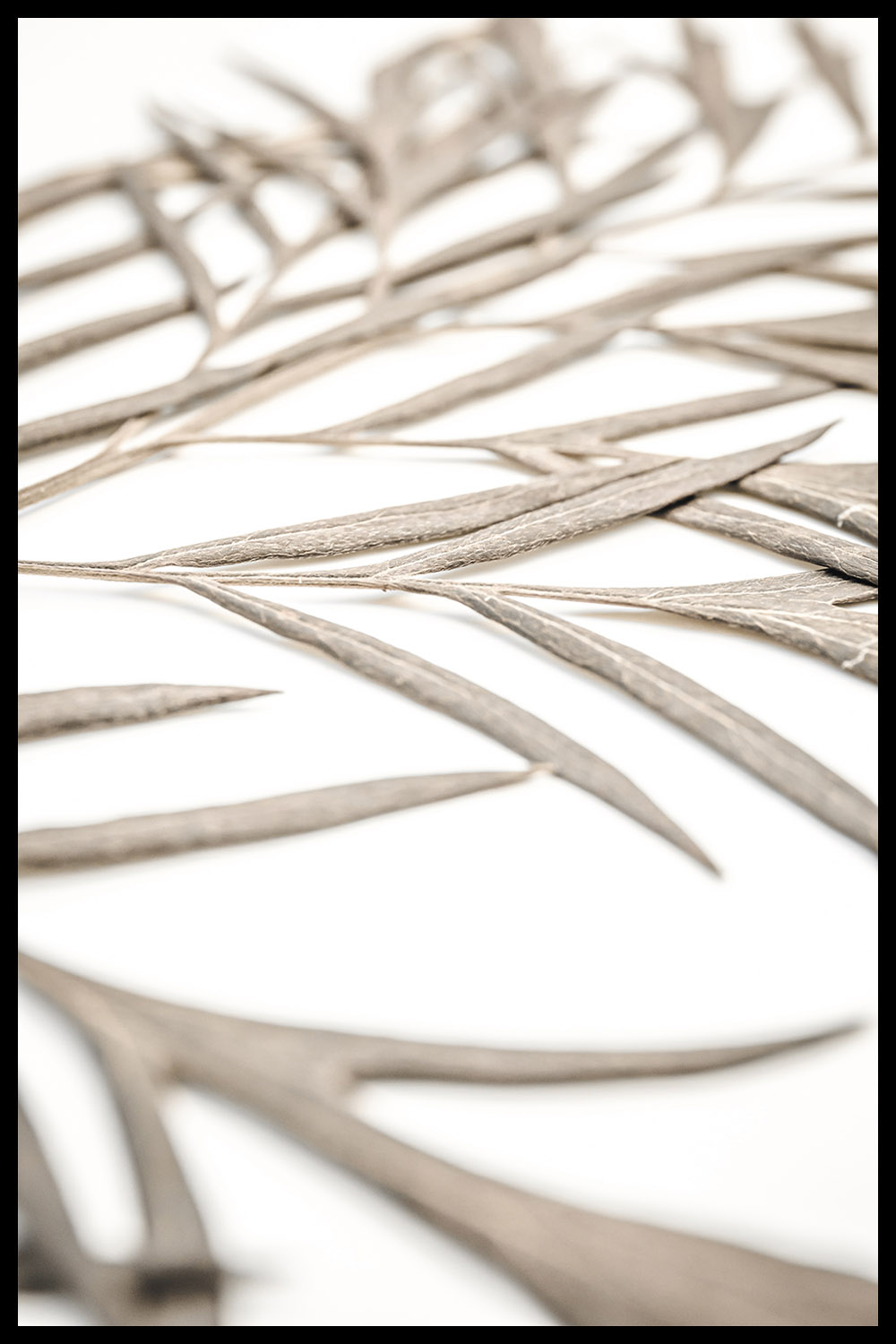 Постер Сухие Листья