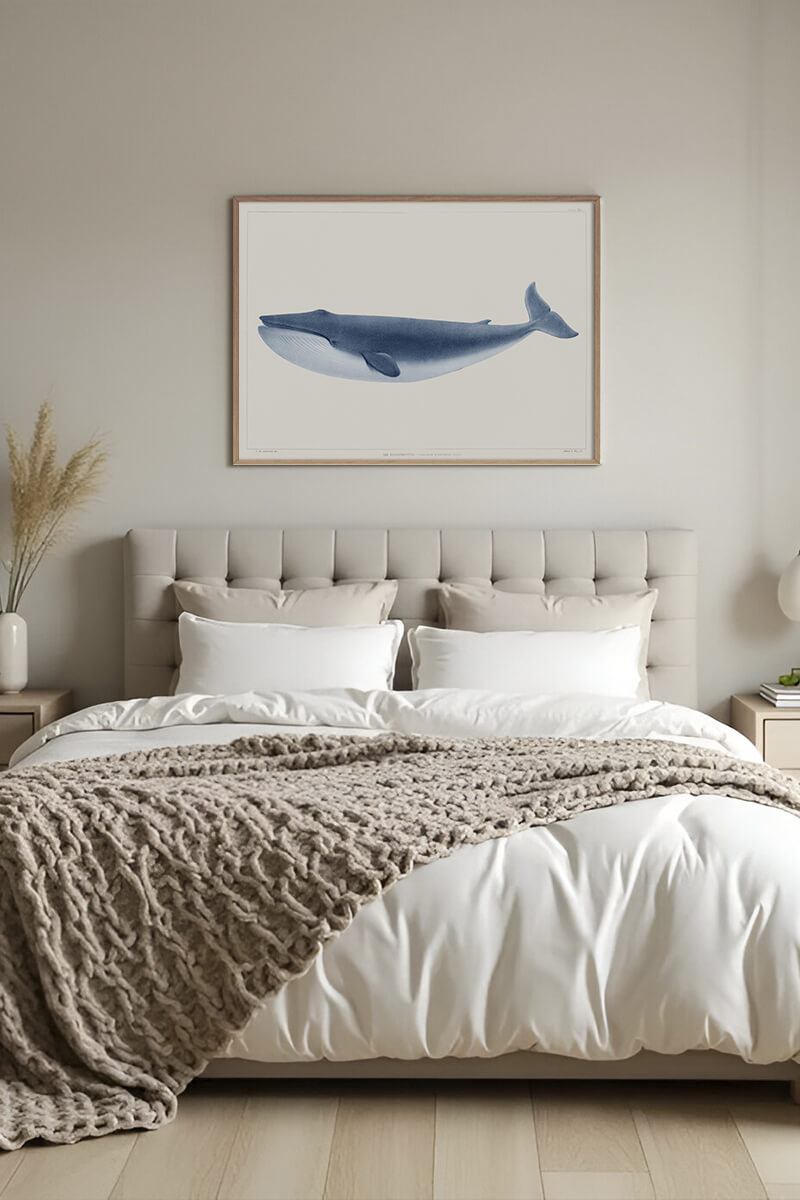 Постер Синий Кит