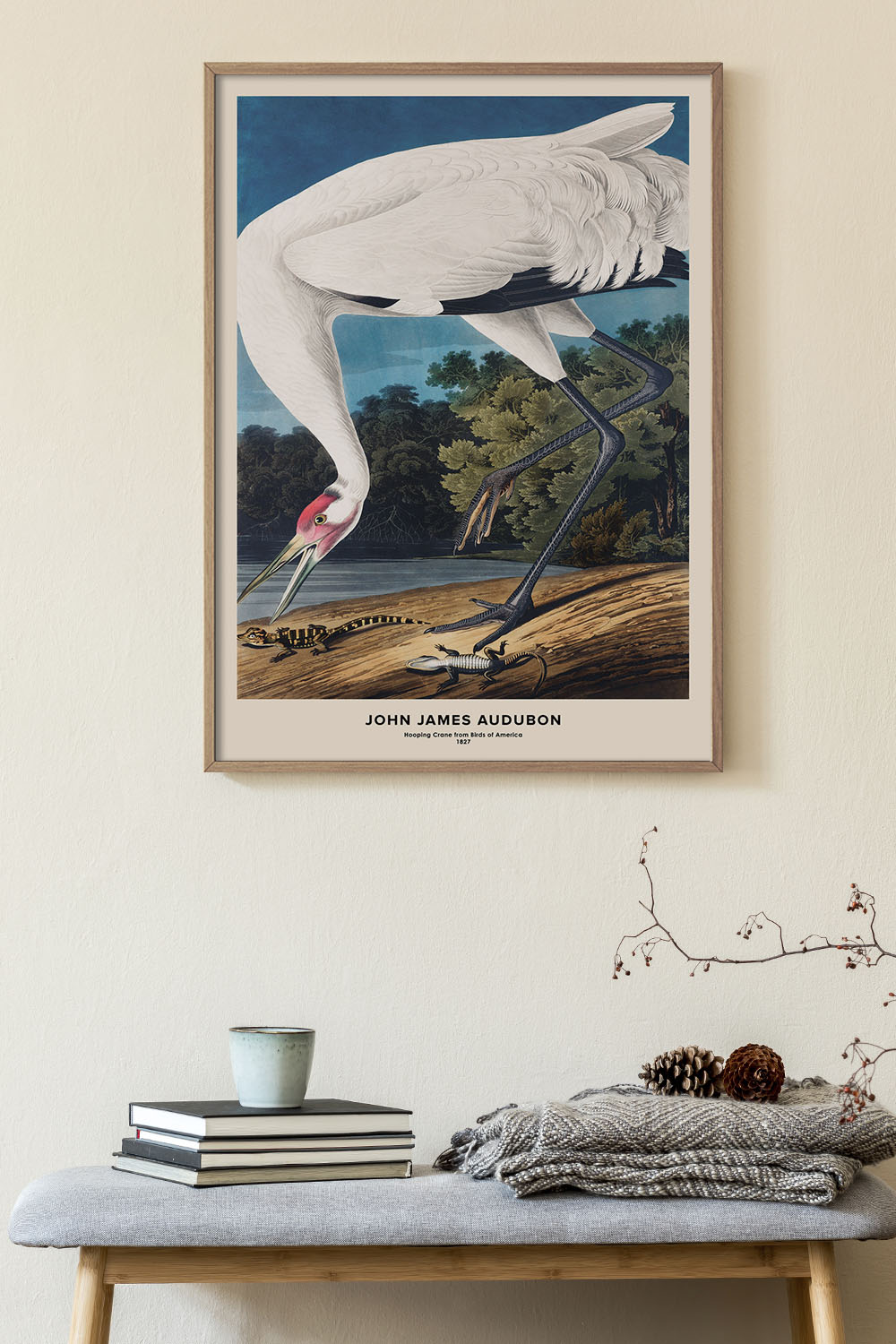 Постер John James Audubon №2