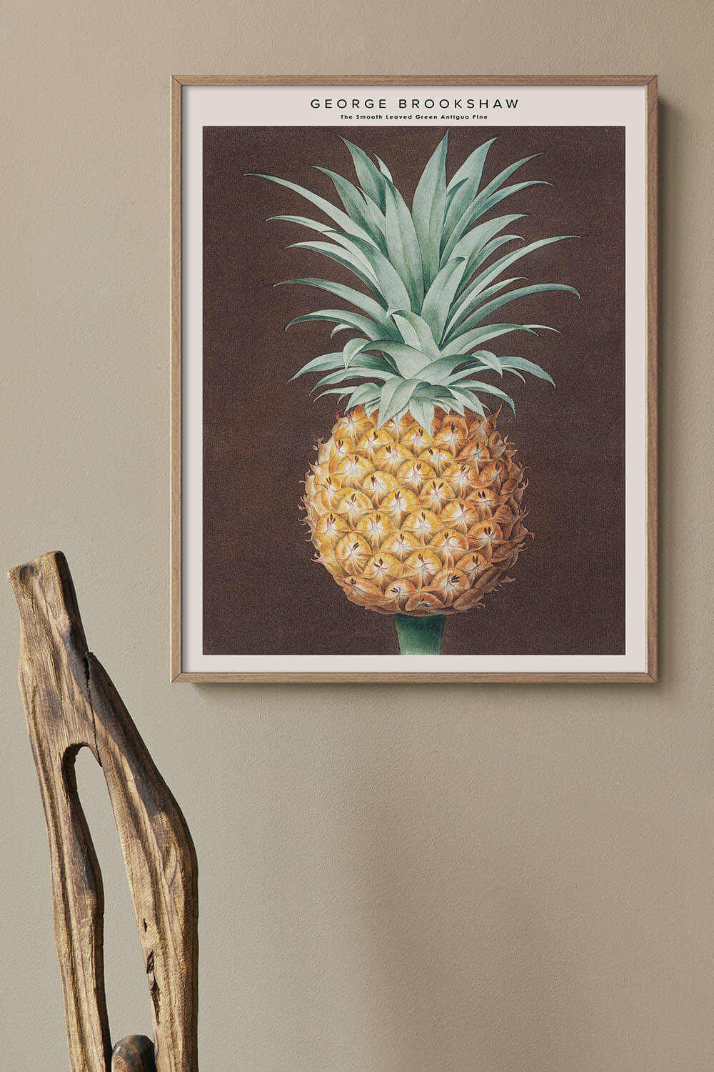 Постер Ананас №2