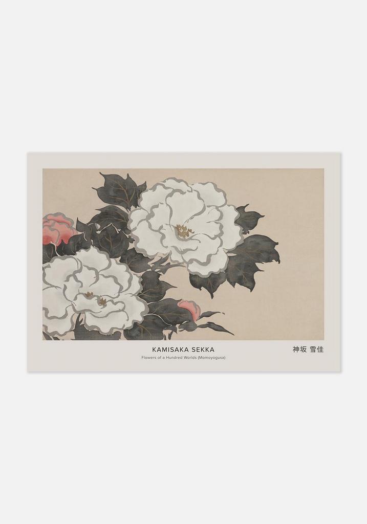 Постер №060 | 50х70 см