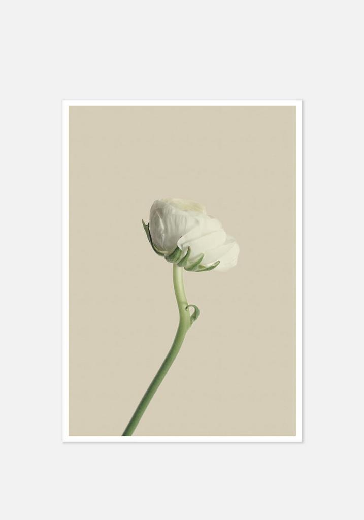 Постер №061 | 50х70 см