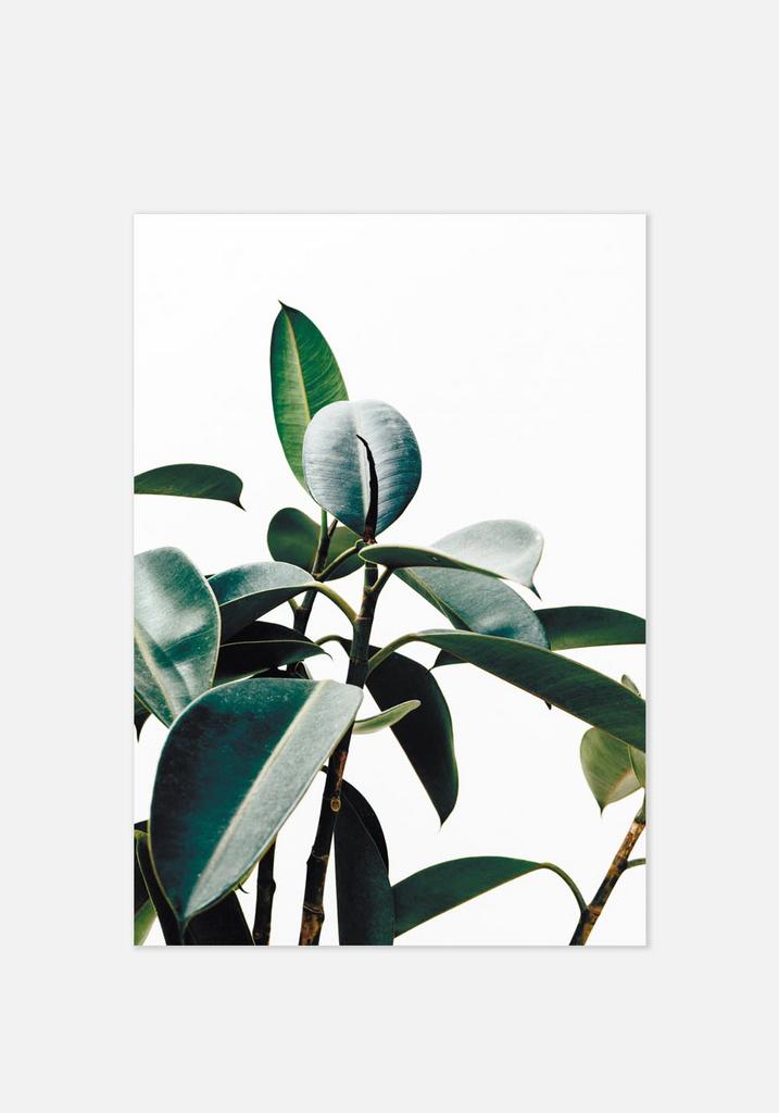 Постер №072 | 50х70 см