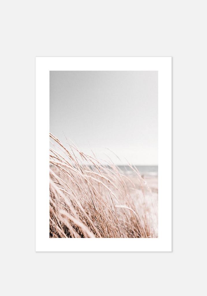 Постер №078 | 50х70 см