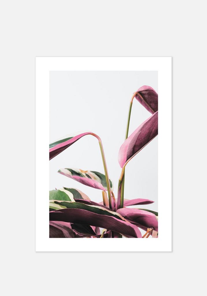 Постер №081 | 50х70 см