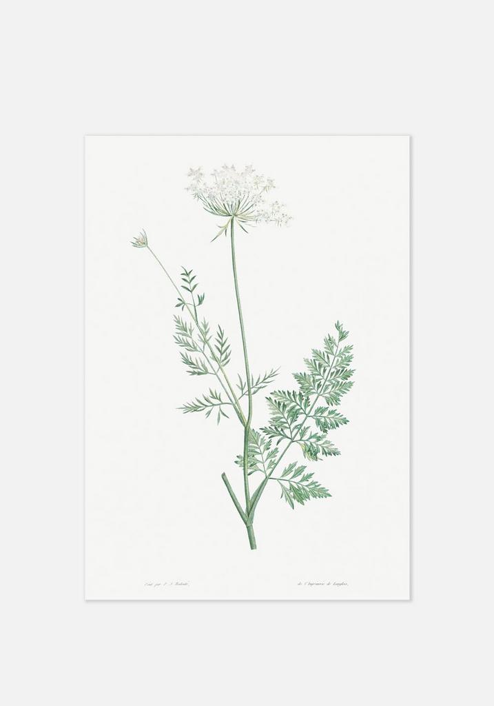 Постер №088 | 50х70 см