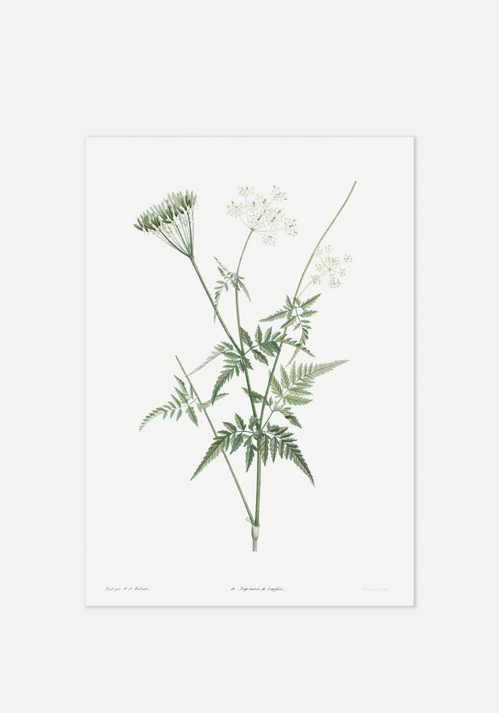 Постер №089 | 50х70 см