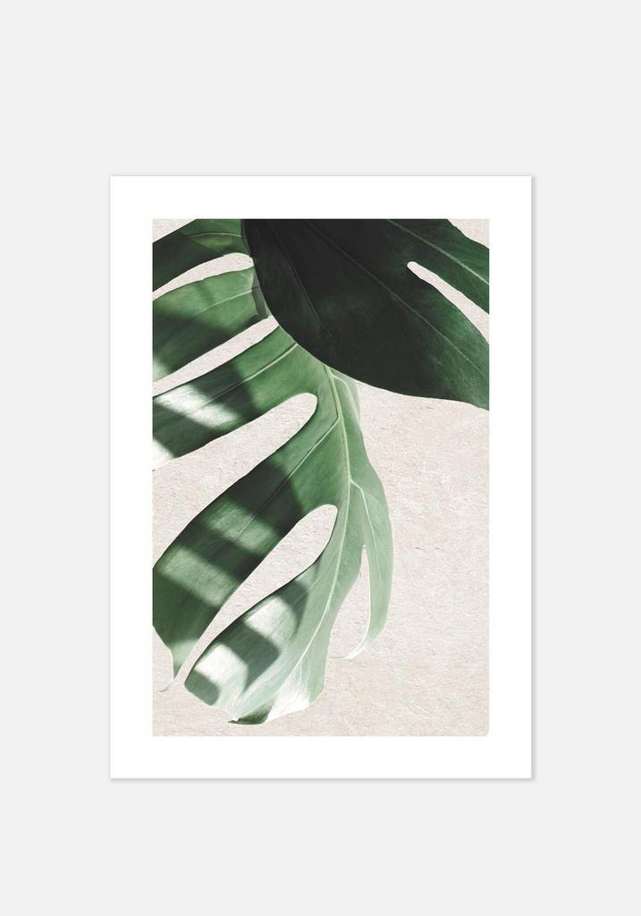 Постер №094 | 50х70 см