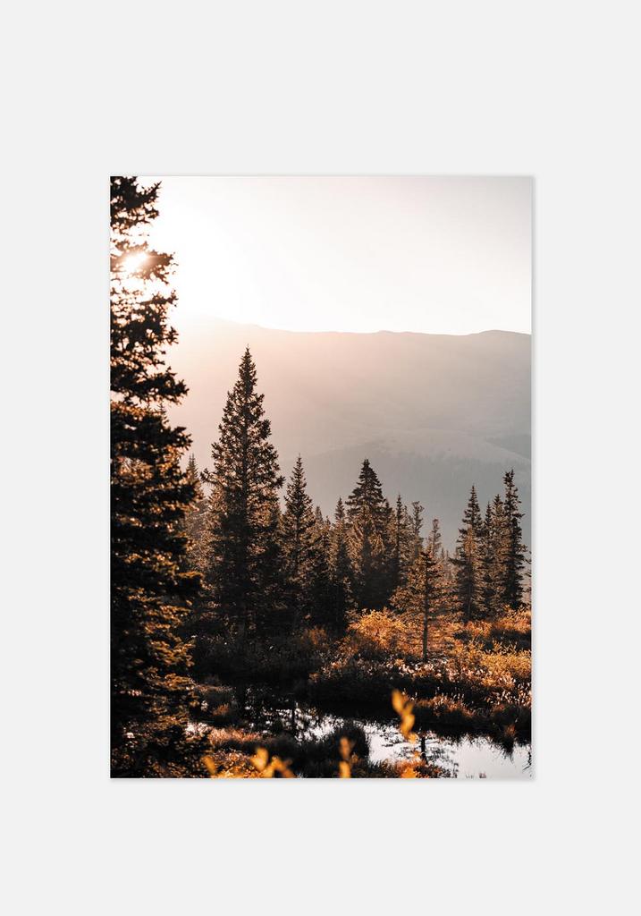 Постер №0100 | 50х70 см