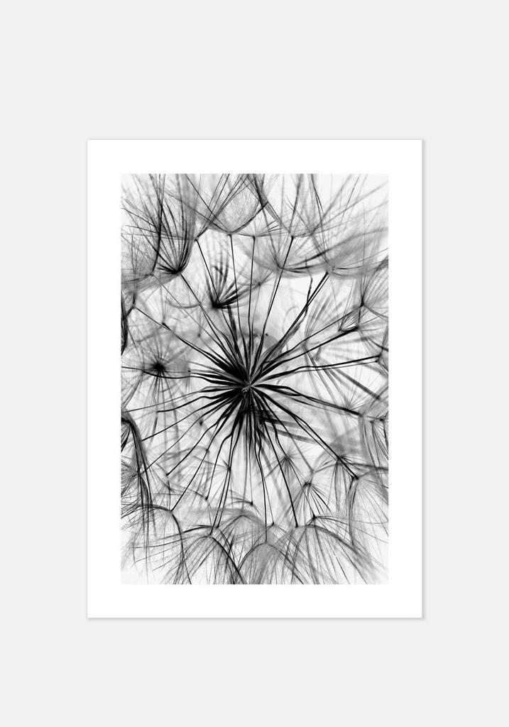 Постер №0102 | 50х70 см