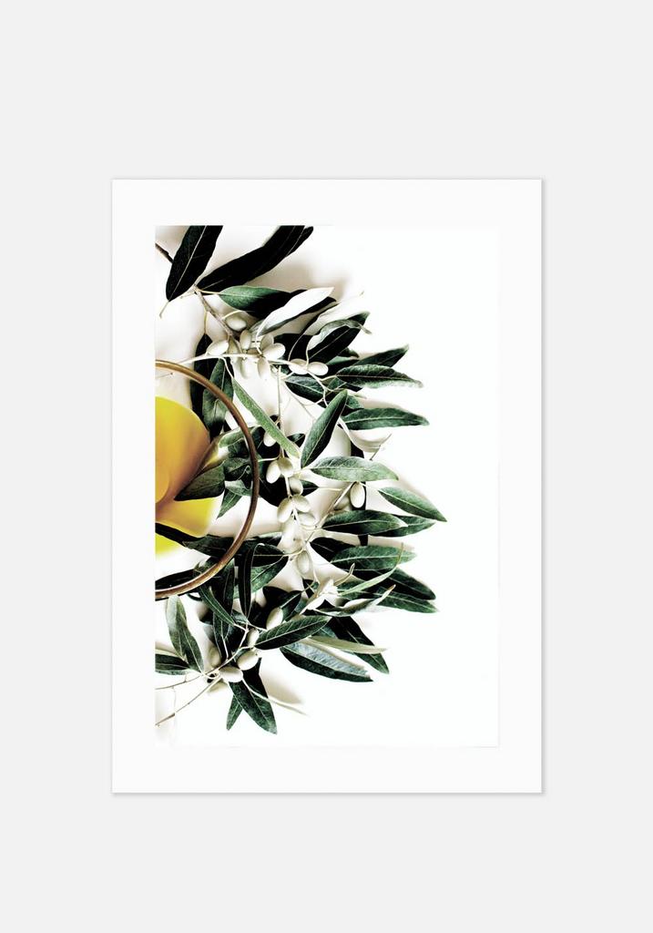 Постер №0149 | 50х70 см