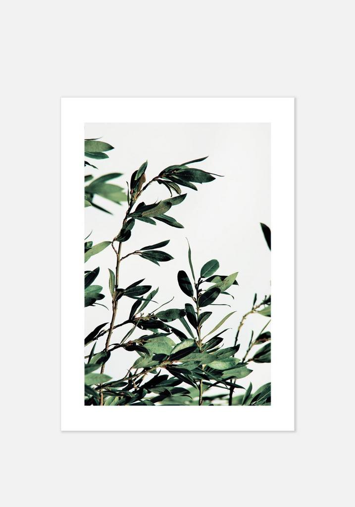 Постер №0150 | 50х70 см