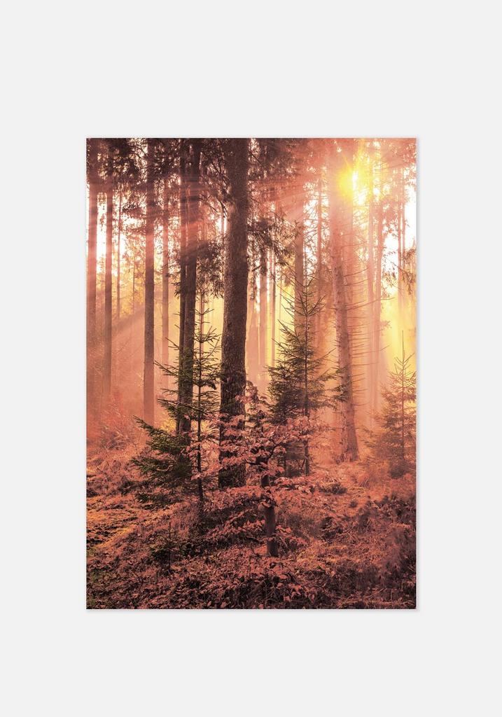 Постер №0159 | 50х70 см