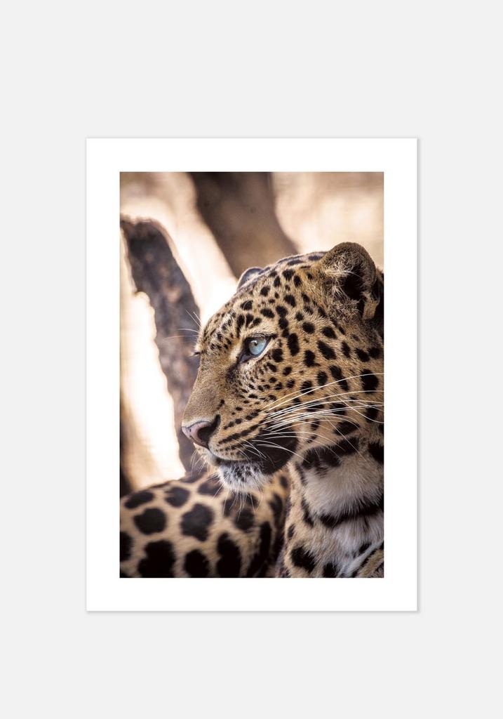 Постер №0160 | 50х70 см