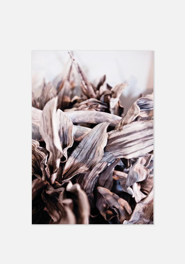 Постер №0162 | 50х70 см