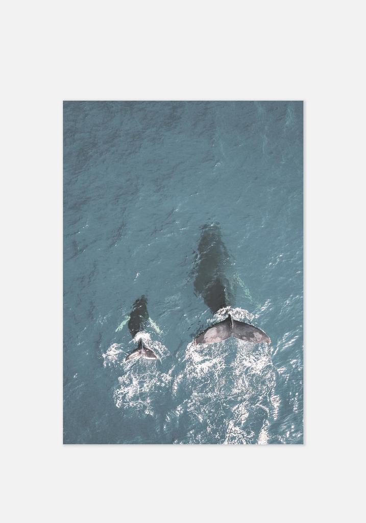 Постер №0170 | 50х70 см