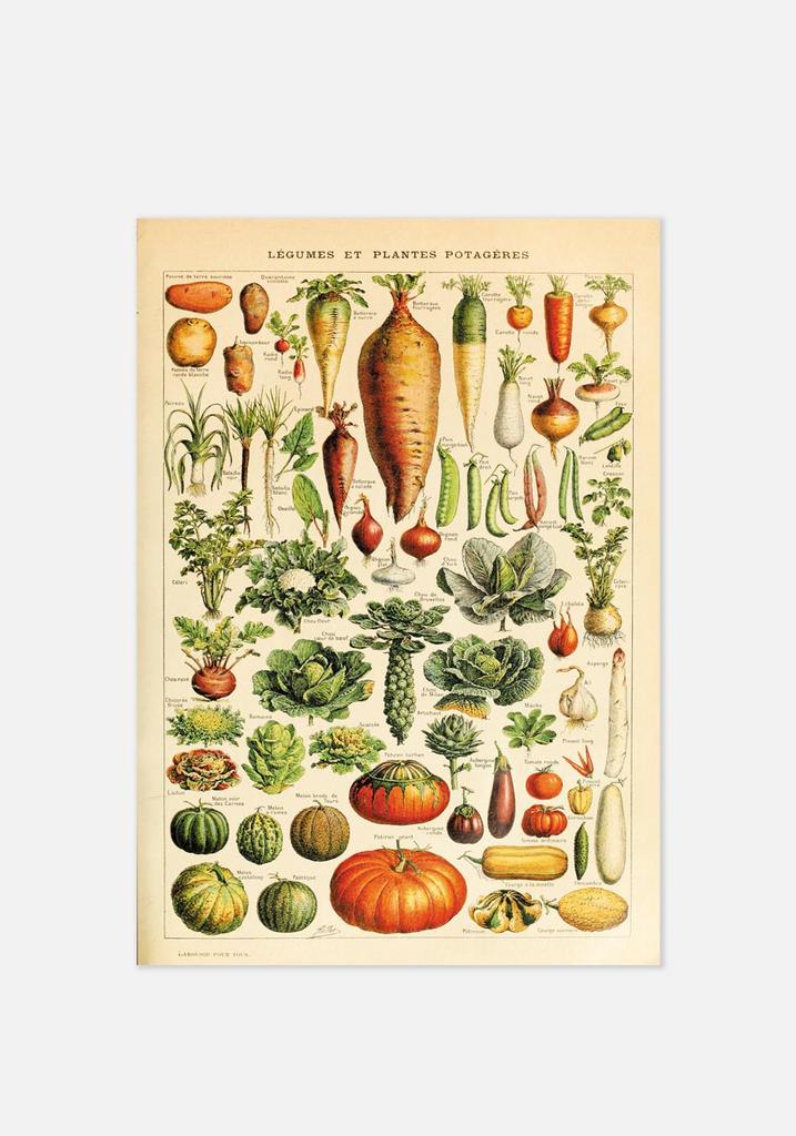 Постер №0172 | 50х70 см