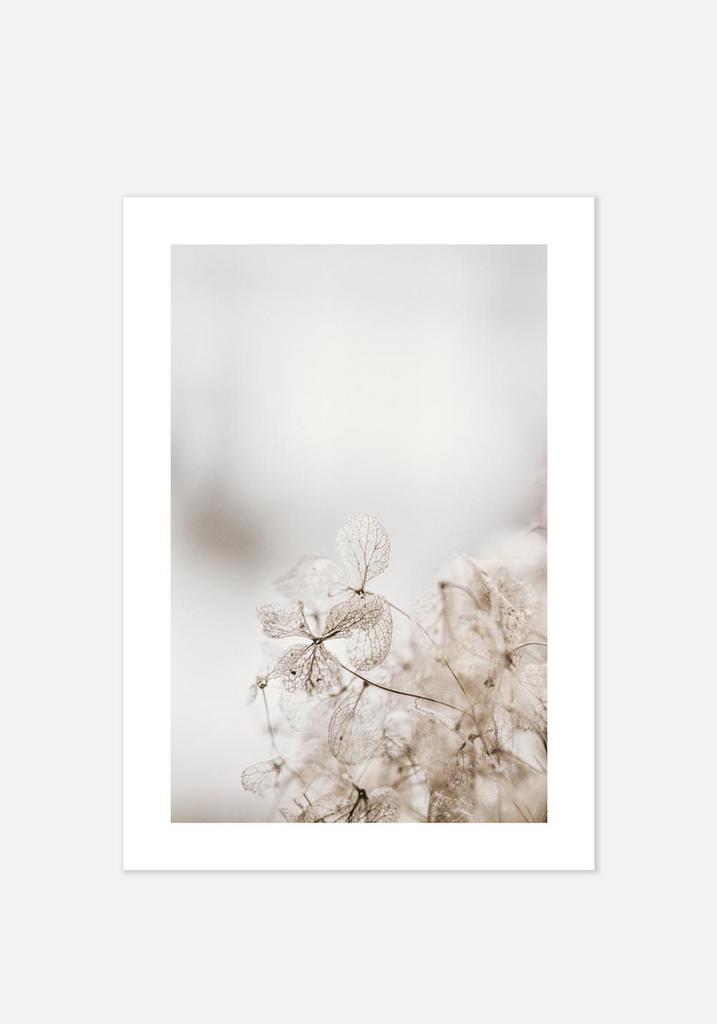 Постер №011 | 40х50 см