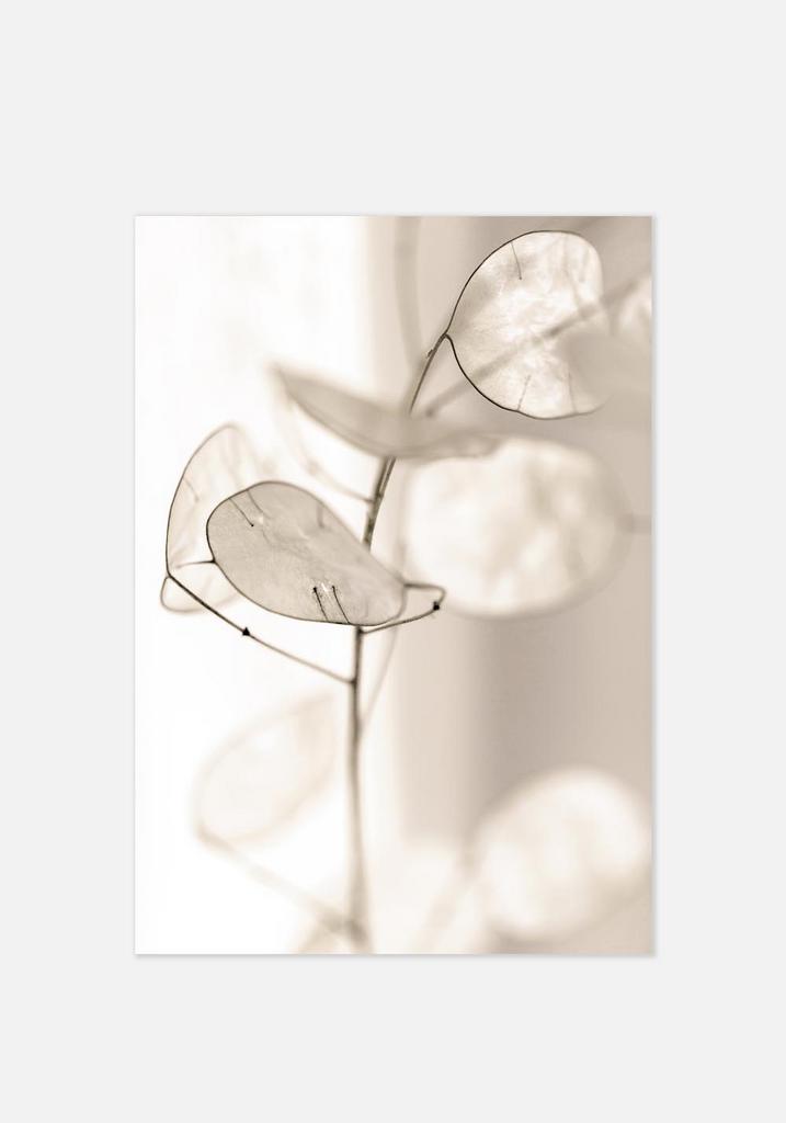 Постер №012 | 40х50 см