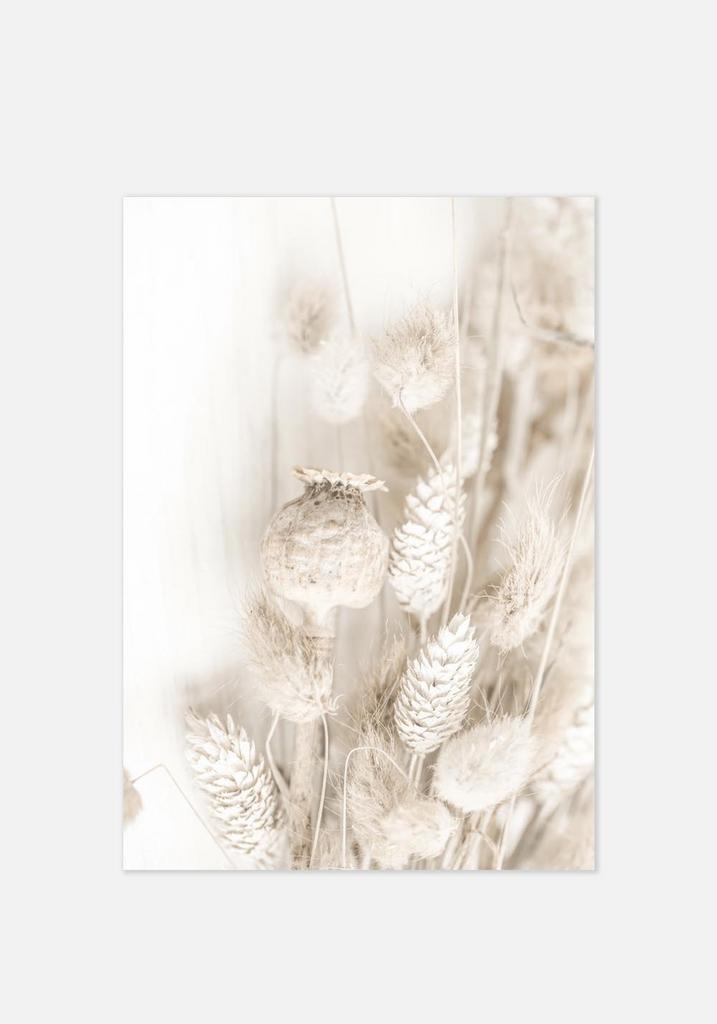 Постер №021 | 40х50 см