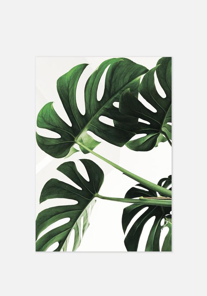 Постер №029 | 40х50 см