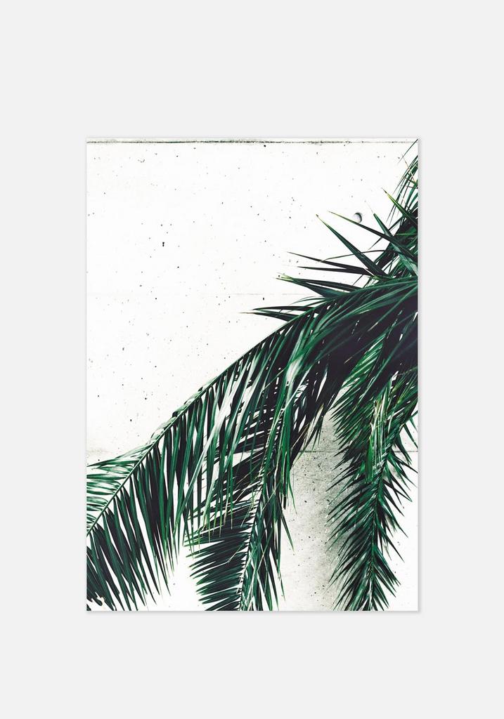 Постер №039 | 40х50 см