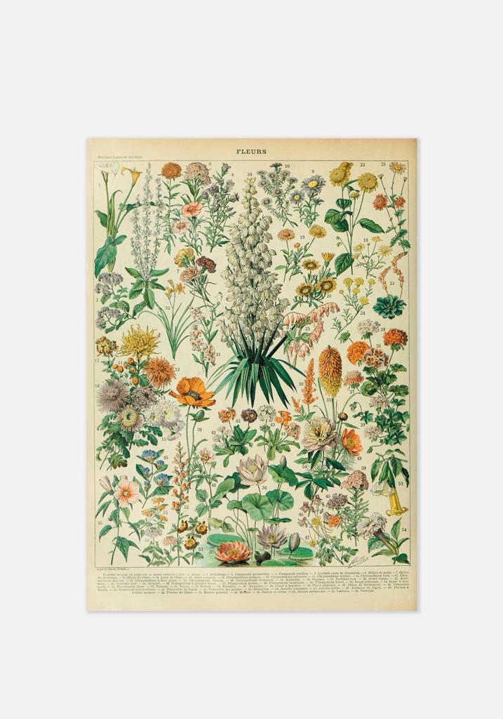 Постер №041 | 40х50 см