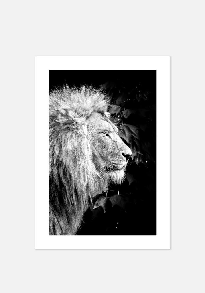 Постер №045 | 40х50 см