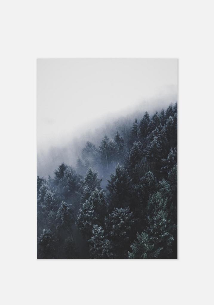 Постер №046 | 40х50 см