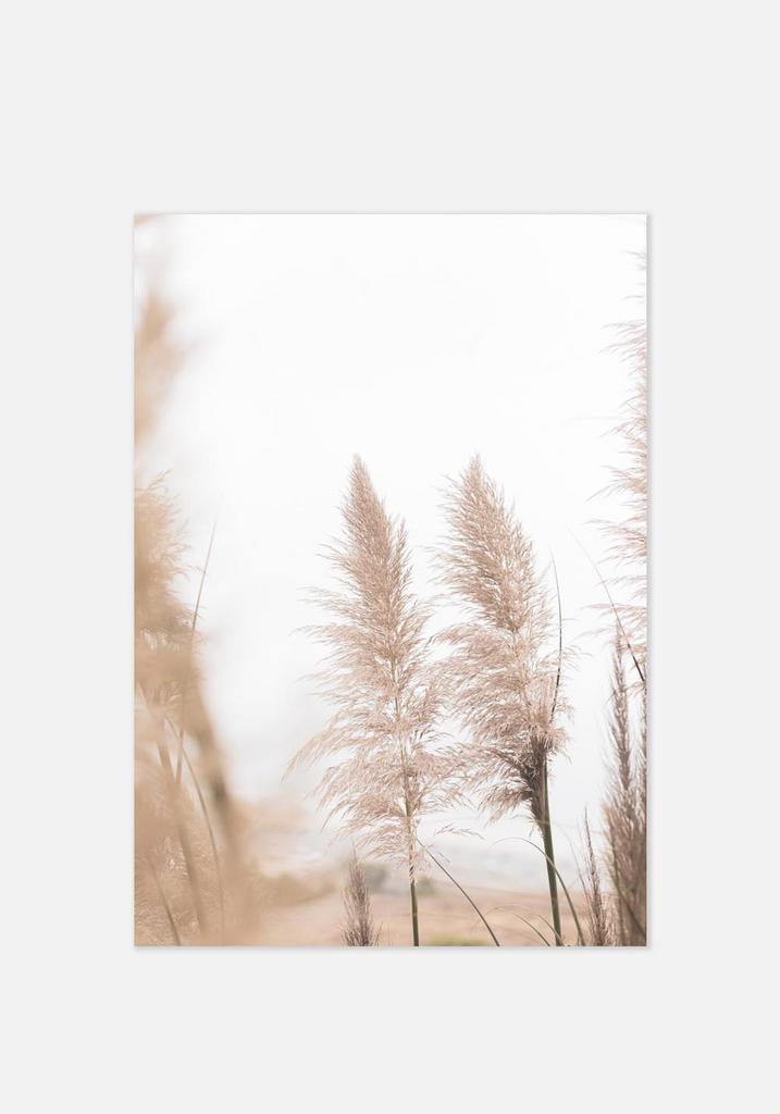 Постер №061 | 40х50 см