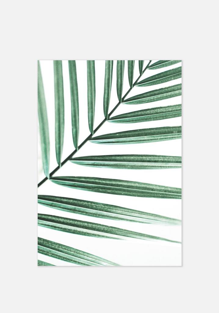 Постер №069 | 40х50 см