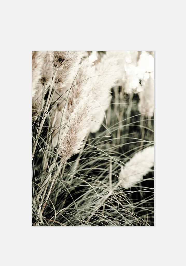 Постер №002 | 60х90 см